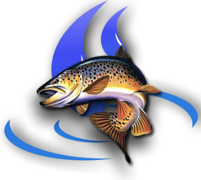 Charter Fishing Website Design